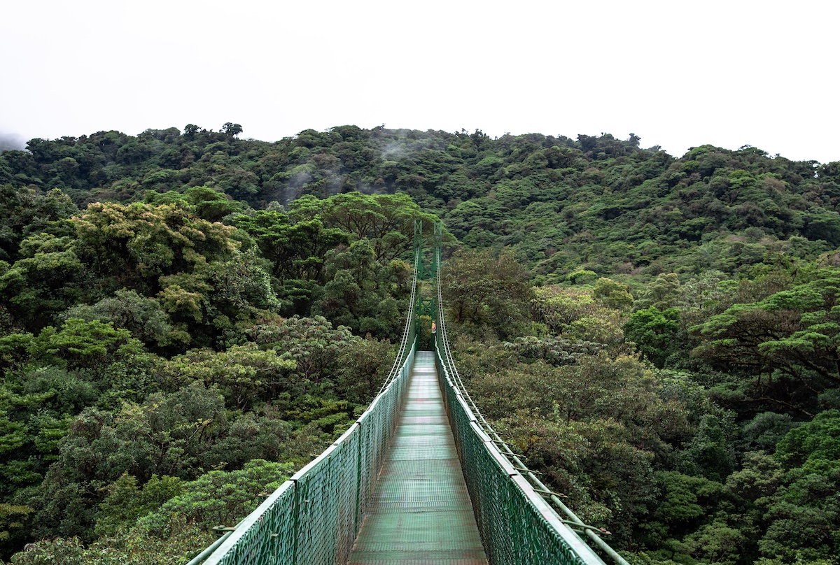 Image of A bridge from mountain to mountain in a rain forest