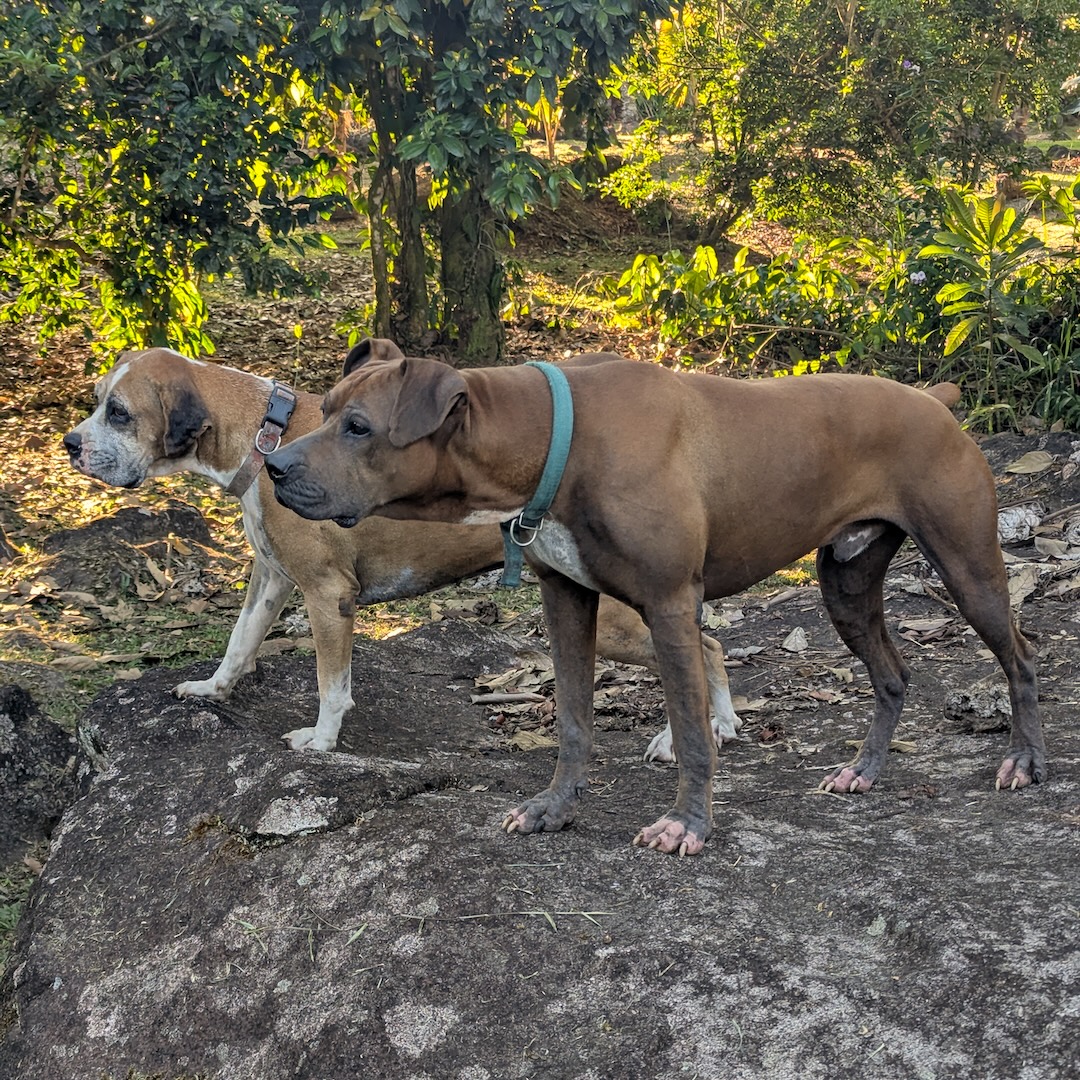 Molly and Rex