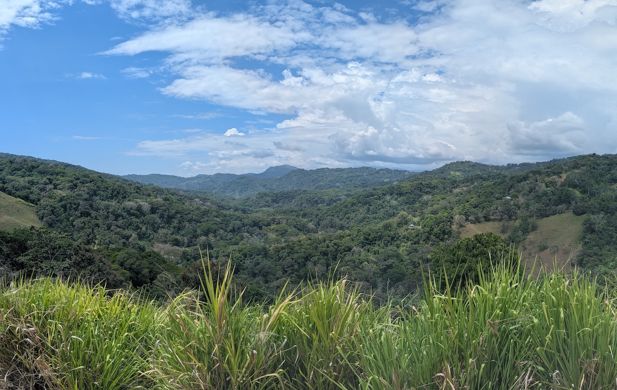 PXL_20260219_184256055.PANO