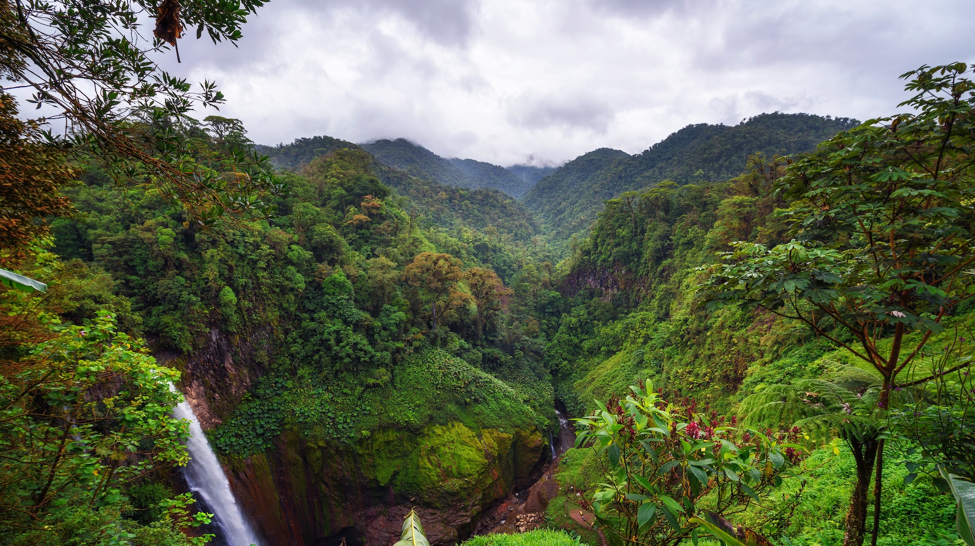 Catarata del Toro waterfall in Costa Rica with surrounding mountains. This waterfall is located in Juan Castro Blanco National Park on the Toro Amarillo River and is 90m high. SSUCv3H4sIAAAAAAAACoxS247bIBB9r9R/iHhuFF8wjvsPu1u1j6s+jDGOUTBEXFJVUf69g22ybNVWfYMzM+dwOHP7+GG3Iz04ycnn3S3e8C6VCs5b8NJohItPG26FHoTNkautWZEDYpDeWAkqB3vwfNIwCwR1UCrC96VInAcfnHCZupuC98I6b/gZ4TqxgIL5JwJlNs7BixPqvSNIdl7X+y4VliJOYIk8o6wVZONedUMfK98EHF64AH34Kq/oNnWsin+h+wL27A4vwQ/G2D+xPknHhVKghQnujXM9fH9YPAnNo8fbPTNphRKw/tHr2krOP/CH5sX01gRhkCb7hKvhoGJDnTFdrORSn7Ix46cl0TTGTdDexieQZIMoYy7Qq5jeiJwi4RM4h+1DwvNccH/MnOlo4xcDGysZMLh4LeuKVR2jHa0YbYq67Ei+GJNEnuU56YHhogwMIoo+cvh9ZUpWtg1taNs8knjbHlYeaVfWZbOWUqwxqFkiy/8wNxXdpt+tMvbI4R+rTMqOdhVlRX1cVmAblFGSdD07Fi30+4GP9Z62I+x7Prb75tj0nAvG2dji1P0XAAAA//8DABho4kOzAwAA